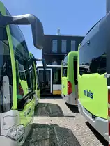 Die vier neuen MB C2 hybrid (122-125) für die Buslamd AG am 18.5.20 bei Evobus in Winterthur.