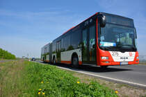 28.04.2018 | Brandenburg - Schönefeld (ILA) | MAN Lion's City G | Cottbusverkehr | CB-CV 276 |