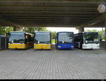 Intertours - 4 Occ. Mercedes Citaro ex BVB Nr.793 / 792 / 791 / 794 abgestellt unter Autobahnbrücke in Kerzers am 23.05.2020