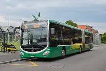 Wärend der Grossbaustelle zwischen Muttenz und Pratteln werden Busse als Tram Ersatz eingesetzt. Hier wartet der Mercedes Citaro 7001, auf der Linie 14, an der Endstation an der Rothausstrasse. Die Aufnahme stammt vom 15.06.2020.