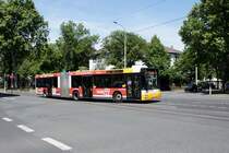 Stadtbus Mainz: MAN NG der MVG Mainz / Mainzer Verkehrsgesellschaft (Wagen 717), aufgenommen im Mai 2020 an der Haltestelle  Goethestraße  in Mainz.