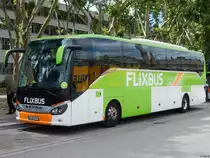 Setra 516 HD von Flixbus/BusWorld Internationa aus Deutschland in Karlsruhe am 22.06.2018