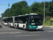 MAN Lion’s City G, ViP Potsdam, Potsdam 22.Jun.2020