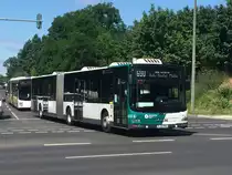 MAN Lion’s City G, ViP Potsdam, Potsdam 22.Jun.2020