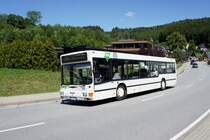 Bus Erzgebirge: MAN NL (ERZ-RV 210) der RVE (Regionalverkehr Erzgebirge GmbH), aufgenommen im Juni 2020 in Antonsthal, einem Ortsteil von Breitenbrunn / Erzgebirge. 