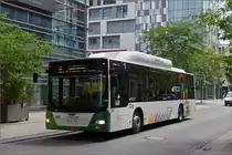 QK 7365, MAN Lions City vom Tice gesehen in den Straßen von Belval Université. 07.07.2020