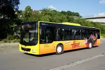 Bus Aue / Bus Erzgebirge: MAN Lion's City � der Fahrschule Herrl (Verkehrsbildungszentrum Erzgebirge), aufgenommen im Juni 2020 am Bahnhof von Aue (Sachsen).