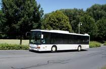 Bus Rheinland-Pfalz / Bus Dierdorf: Setra S 315 NF (WW-FB 1803) vom Verkehrsunternehmen FriBus, aufgenommen im Juni 2020 im Stadtgebiet von Dierdorf (Landkreis Neuwied).