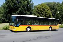 Bus Rheinland-Pfalz / Bus Dierdorf: Mercedes-Benz Citaro Ü (KO-KA 998) vom Verkehrsbetrieb Rhein-Westerwald GmbH (Zickenheiner-Gruppe), aufgenommen im Juni 2020 im Stadtgebiet von Dierdorf (Landkreis Neuwied).