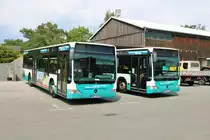 Stadtverkehr Maintal Mercedes Benz Citaro 1 Facelift am 01.08.20. Ich durfte auf dem Betriebshof Fotos machen