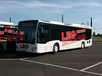 Mercedes-Benz O530LE Ü C2 am 16.06.2020 in Cottbus