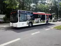 MAN NL293 Lion`s City am 01.07.2020 in Dresden. Foto darf mit Genehmigung veröffentlicht werden.