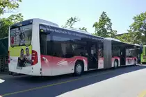 Heckansicht des BGU MB C2 G 8 der als Bahnersatz nach Fribourg unterwegs ist, am 6.8.20 bei einer Pause in Bern.