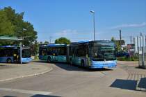 MVG MAN Lions City G am 11.08.20 in München Trudering