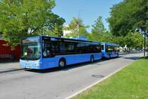 Bergers Reisen MAN Lions City mit Anhänger am 11.08.20 in München Trudering 