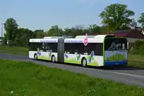 28.04.2018 | Brandenburg - Schönefeld (ILA) | Solaris Urbino 18 | regiobus Potsdam Mittelmark GmbH | PM-RB 376 | 