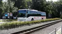 Iveco Crossway Line 12LE am 30.07.2020 in Zittau. Einweihung der neuen Buslinie.