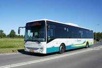 Niederlande / Bus Zeeland / Bus Oostburg: Iveco Crossway LE (Wagen 5551) von Connexxion (Transdev Niederlande), aufgenommen im August 2020 im Stadtgebiet von Oostburg (Gemeinde Sluis).