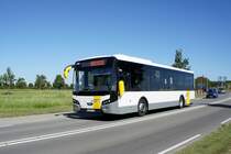 Belgien / Niederlande / Bus Zeeland / Bus Oostburg: VDL Citea SLE 120 von De Lijn (Wagen 2166), aufgenommen im August 2020 im Stadtgebiet von Oostburg (Gemeinde Sluis). 