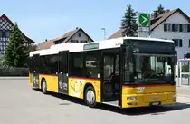 MAN 134 in Altikon am 05.06.2009.