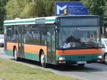 MAN Niederflurbus 2. Generation von Namaxa Tour aus Polen in Stettin am 08.08.2018
