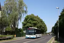 Am 11. Juni 2020 konnte ich Wagen 17 der Bahnen Monheim in der Nähe des Creative Campus Monheim fotografieren. Unterwegs war dieser auf der Linie 793 zu jenem Campus.