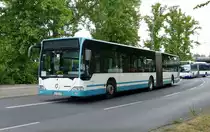 S-Bahn Berlin, Schienenersatzverkehr-SEV, 'Schröder Reisen' mit dem Mercedes-Benz Citaro I, UL-SC 173. Berlin, Juni 2020