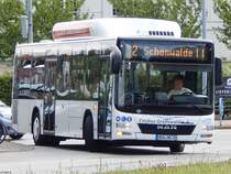 MAN Lion's City CNG der Stadtwerke Greifswald in Greifswald am 10.08.2018