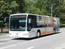 Mercedes Citaro II der Stadtwerke Greifswald in Greifswald am 10.08.2018