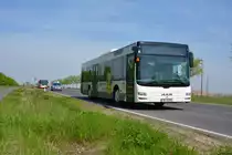 28.04.2018 | Brandenburg - Schönefeld (ILA) | MAN Lion's City Ü | Verkehrsgesellschaft Teltow-Fläming mbH | TF-VG 77 |