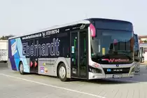 MAN Lion's City Hybrid  Wöhrle , Oberderdingen November 2020