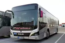 MAN Lion's City Hybrid  Wöhrle , Oberderdingen November 2020