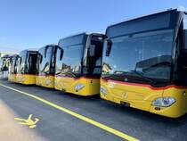 Mehrere neue MB C2 für PostAuto am 23.11.20 bei Evobus Winterthur.