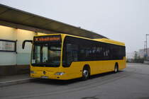 Eichberger Reisen
PA-EQ 11
Mercedes Citaro LE Facelift
Baujahr 2012

ZOB, 08/2020