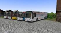 Die alten Citaro hLA die früher als Ortsbusse in Brig-Glis fuhren.
