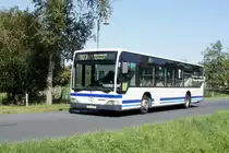 Bus Rheinland-Pfalz / Bus Dierdorf: Mercedes-Benz Citaro (AK-W 592) der Firma Wallmeroth Busreisen GmbH, aufgenommen im September 2020 im Stadtgebiet von Dierdorf (Landkreis Neuwied).