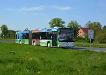 28.04.2018 | Brandenburg - Schönefeld (ILA) | MAN Lion's City G | Verkehrsgesellschaft Teltow-Fläming mbH | TF-VG 113 |