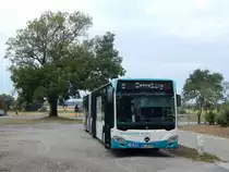 Mercedes Citaro III der Neubrandenburger Verkehrsbetriebe in Neubrandenburg am 25.08.2018