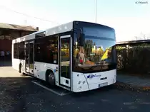 МАЗ 206063 am 04.10.2020 in Lesna.