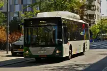 QK 7367, MAN Lion's City vom Tice, aufgenommen nahe dem Belval Plazza.  07.09.2020