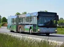 29.04.2018 | Brandenburg - Schönefeld (ILA) | MAN Lion's City G | Verkehrsgesellschaft Teltow-Fläming mbH | TF-VG 113 | 