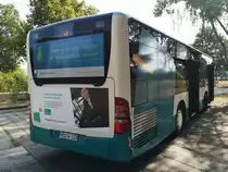 Mercedes Citaro II der Neubrandenburger Verkehrsbetriebe in Neubrandenburg am 28.08.2018