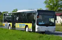 28.04.2018 | Brandenburg - Schönefeld (ILA) | MAN Lion's City Ü | VTF | TF-VG 213 |