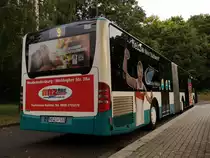 Mercedes Citaro II der Neubrandenburger Verkehrsbetriebe in Neubrandenburg am 28.08.2018