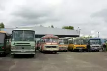 2. Europäisches Oldtimerbustreffen Wissembourg/Elsass 27.04.2019 
mehr Bilder von den Bustreffen sind in meiner Galerie zu sehen
