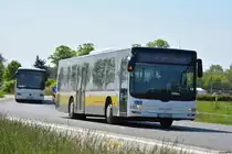 29.04.2018 | Brandenburg - Schönefeld (ILA) | MAN Lion's City Ü | VTF | TF-VG 234 | 