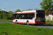 28.04.2018 | Brandenburg - Schönefeld (ILA) | Mercedes Benz Citaro I Facelift Ü LE | Uckermärkische Verkehrsgesellschaft mbH | UM-LE 511 | 