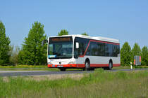29.04.2018 | Brandenburg - Schönefeld (ILA) | Mercedes Benz Citaro I Facelift Ü LE | Uckermärkische Verkehrsgesellschaft mbH | UM-LE 511 | 