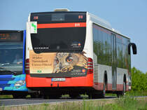 29.04.2018 | Brandenburg - Schönefeld (ILA) | Mercedes Benz Citaro I Facelift Ü LE | Uckermärkische Verkehrsgesellschaft mbH | UM-LE 511 | 
