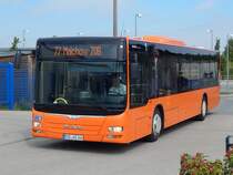 MAN Lion's City von Tonne aus Deutschland in Malchow am 09.09.2018